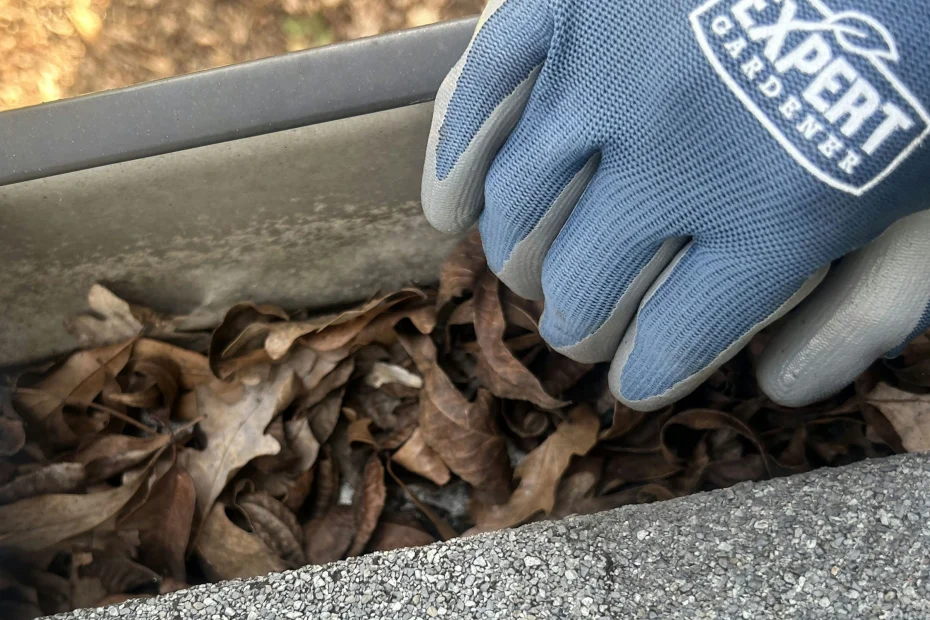 Gutter Cleaning Olive BranchMS